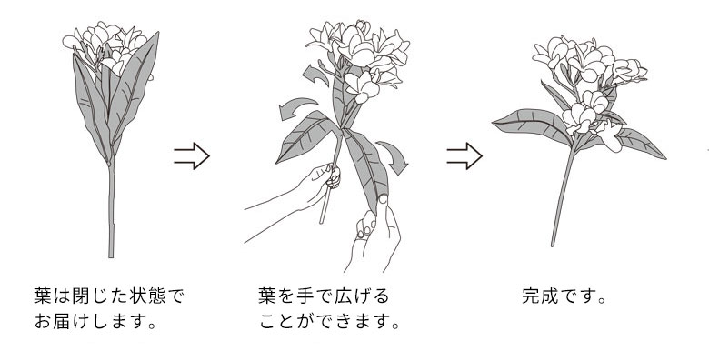 お届けの際のご注意