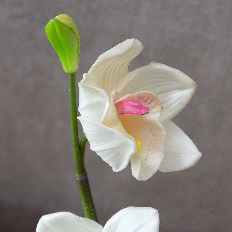 3色展開なので組み合わせてカラフルに飾るのもおすすめです。