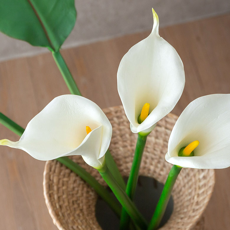 3色展開なので組み合わせてカラフルに飾るのもおすすめです。