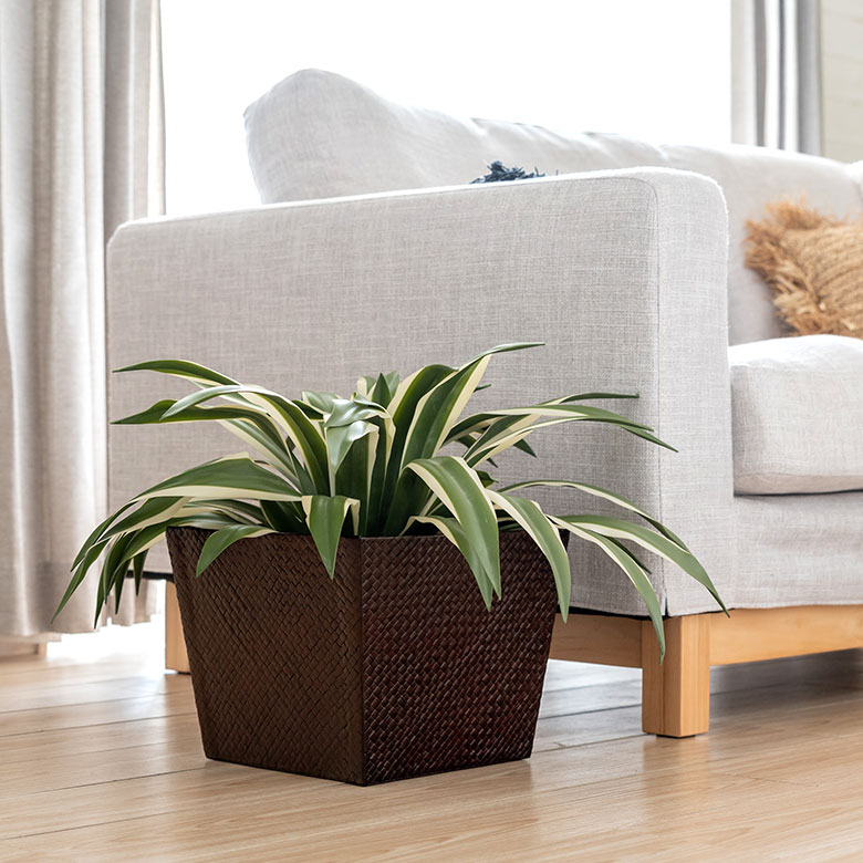 パンダンで編まれたアジアンバスケット