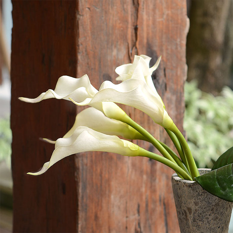 [ カラーリリー 9本セット / ショートタイプ ]