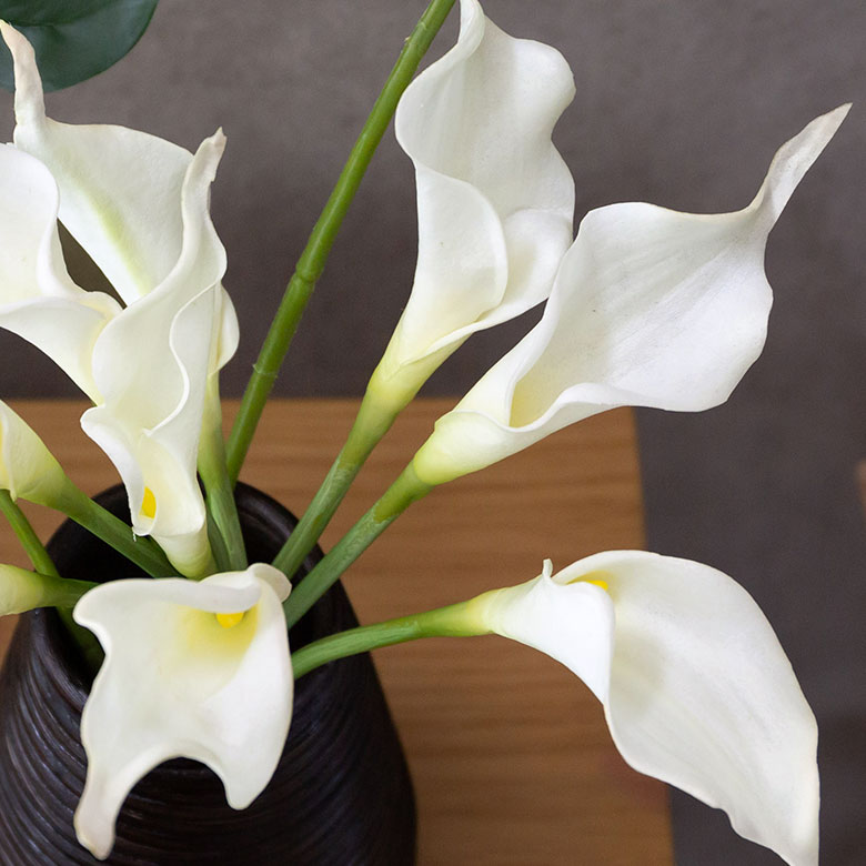 [ カラーリリー 9本セット / ショートタイプ ]