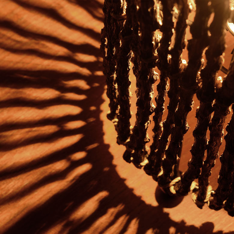 光がお部屋に広がります