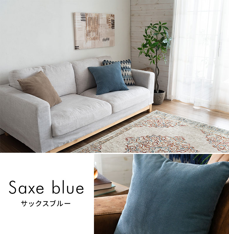 カラーバリエーション。サックスブルー