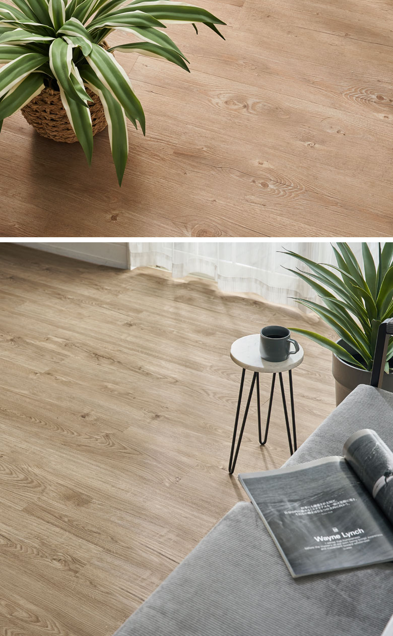 誰でもカンタン。ホントに置くだけ