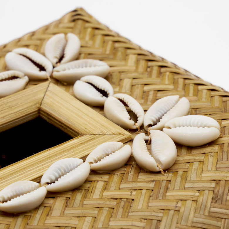 まるで宝石のように美しい貝殻