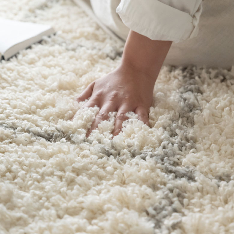 やわらかい毛足が気持ちいい。