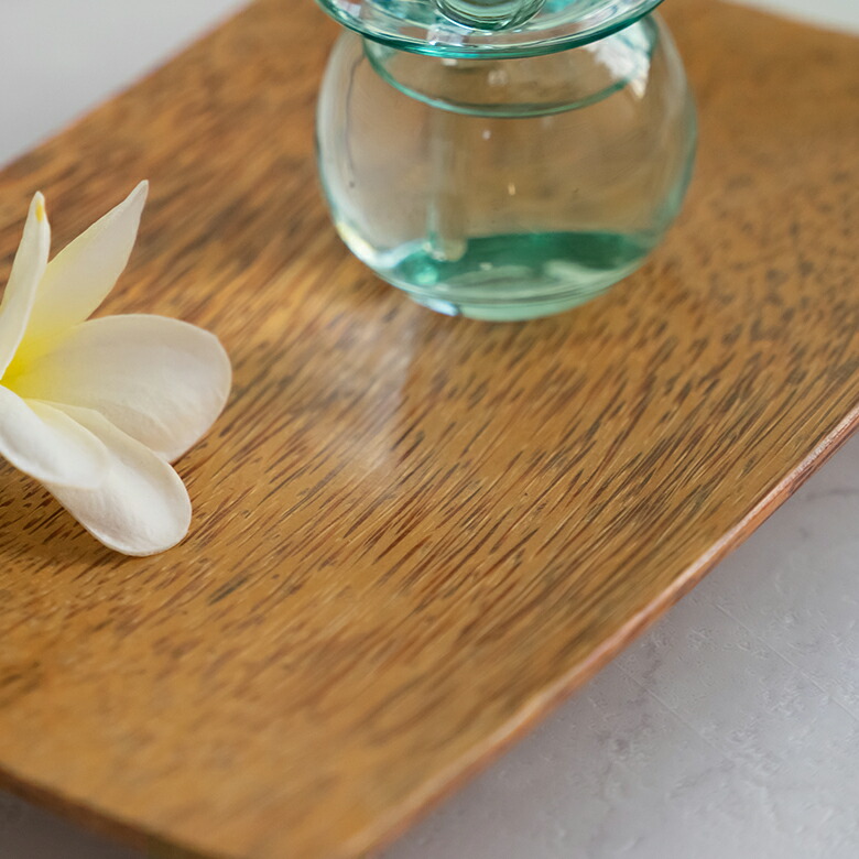 南国のフルーツ、ココナッツの木を使用したトレイ