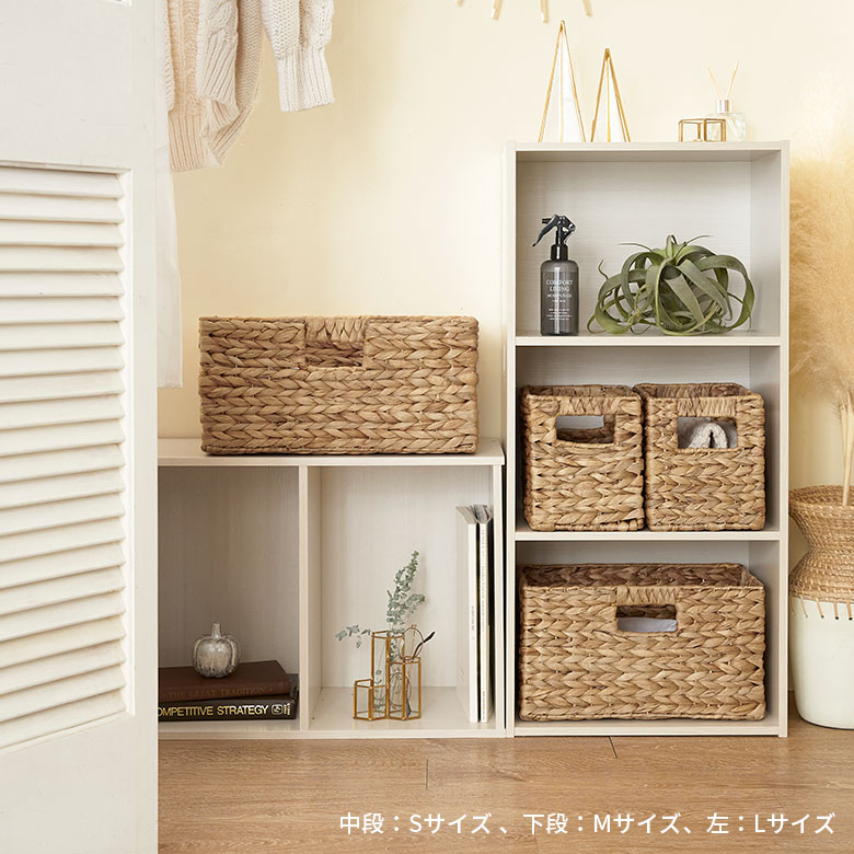 手に持つとこれくらいの大きさ