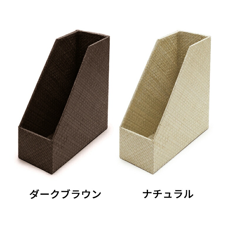 カラー ナチュラル ベージュ ブラウン