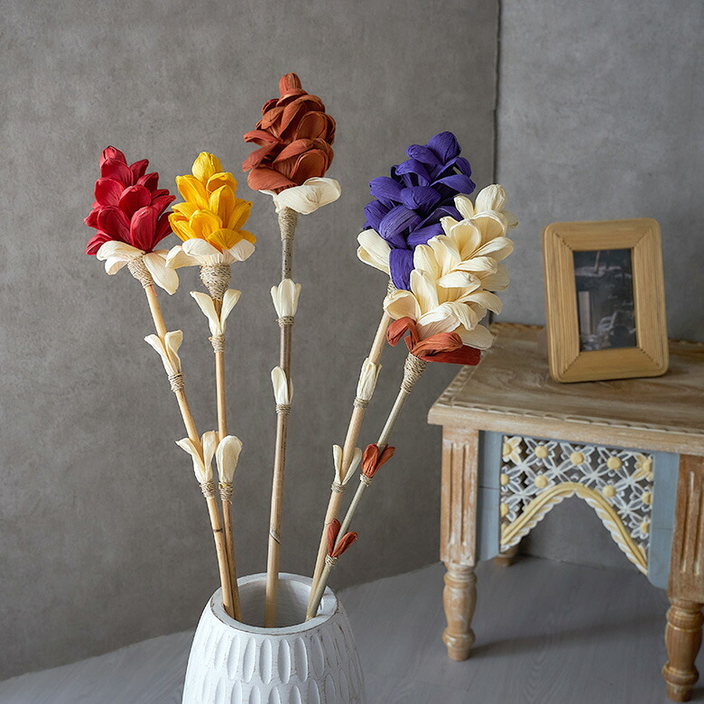 鮮やかななカラーが可愛いアートプランツ