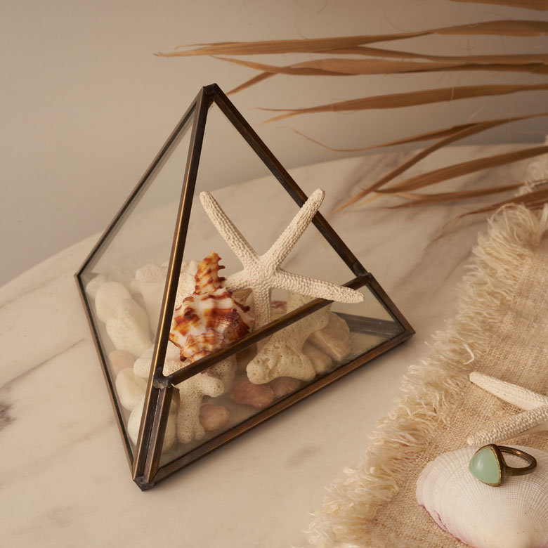 石やサンゴなどを入れてオブジェにも