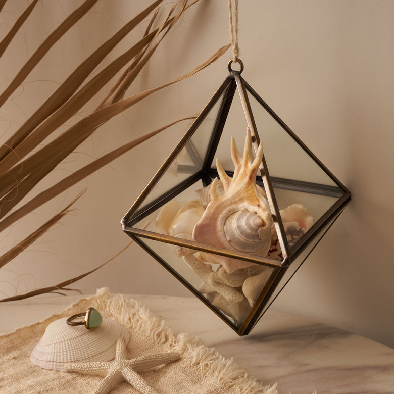 石やサンゴなどを入れてオブジェにも