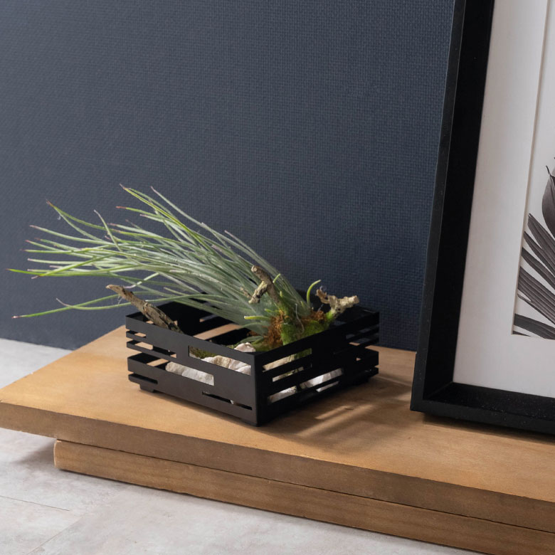 秋冬は小物入れやライトとして、オールシーズン対応