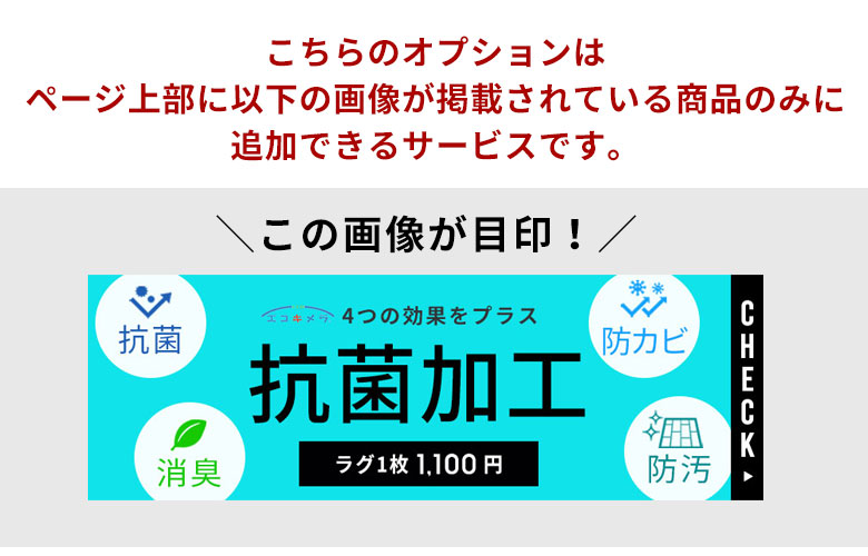 無光媒体エコキメラ