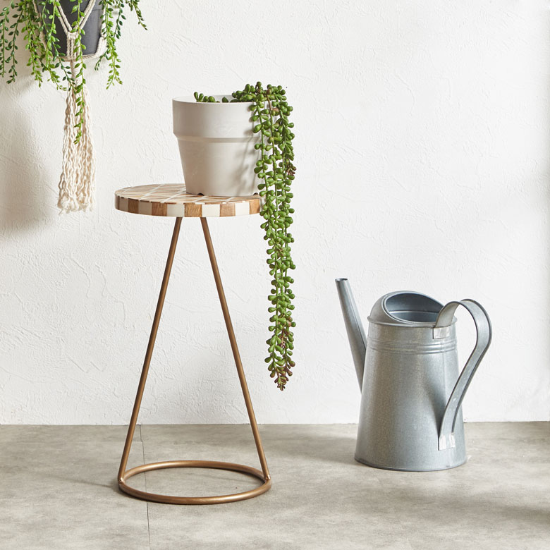 吊るして楽しむハンギングプランツを置くのもおすすめ