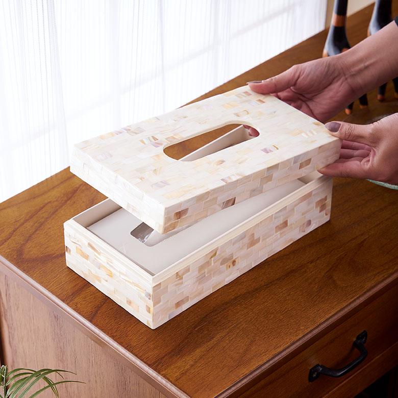 上部がフタになっており、ティッシュボックスをそのまま入れるタイプ