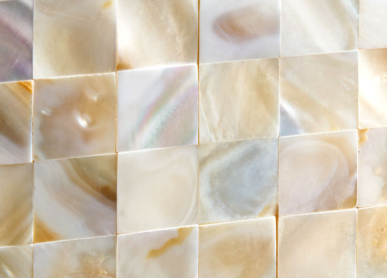 本物のシェルを使った贅沢な質感