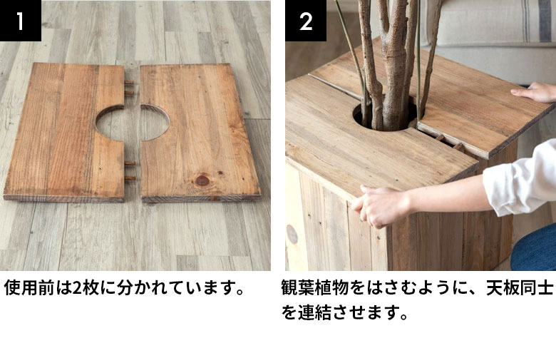 観葉植物をはさむように天板同士を連結。インドアでも、アウトドアでもOK