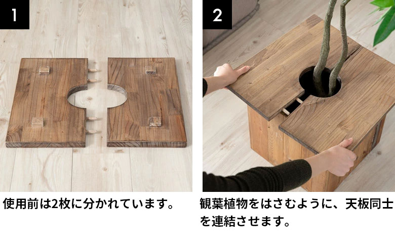 観葉植物をはさむように天板同士を連結。インドアでも、アウトドアでもOK