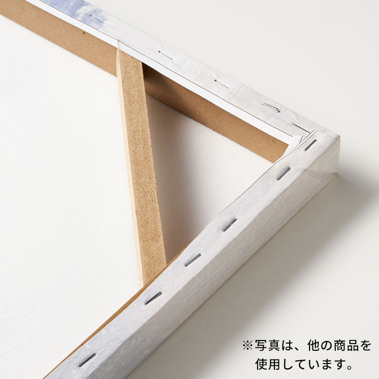 こちらも裏面の様子