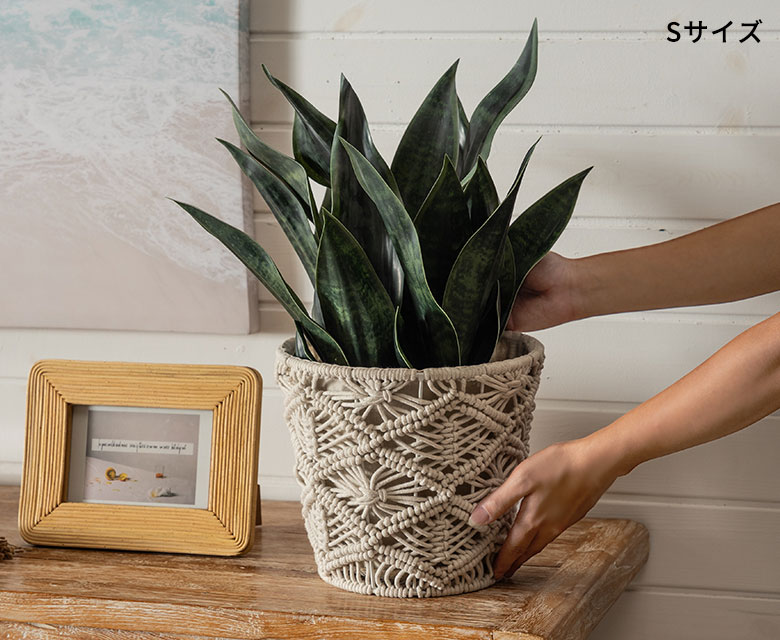 プランターカバーとして使うのもおすすめ