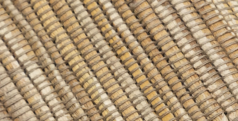 ウォーターヒヤシンスの魅力