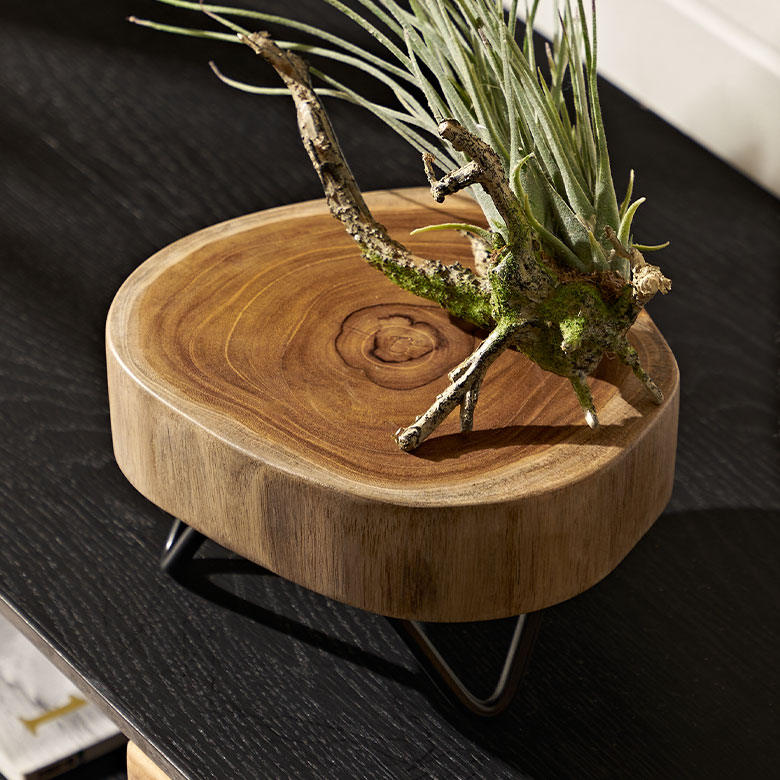 マルチに使える鉢受台