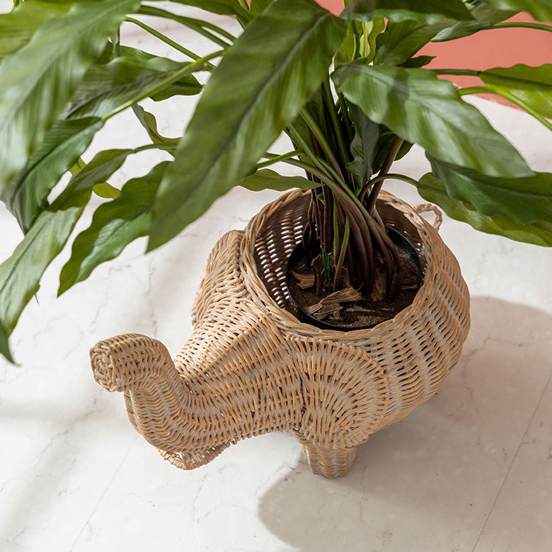 ラタンの自然な色合いは、グリーンと相性抜群