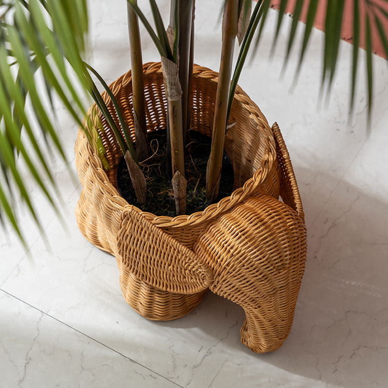 ラタンの自然な色合いは、グリーンと相性抜群