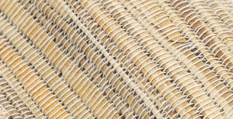 ウォーターヒヤシンスの魅力