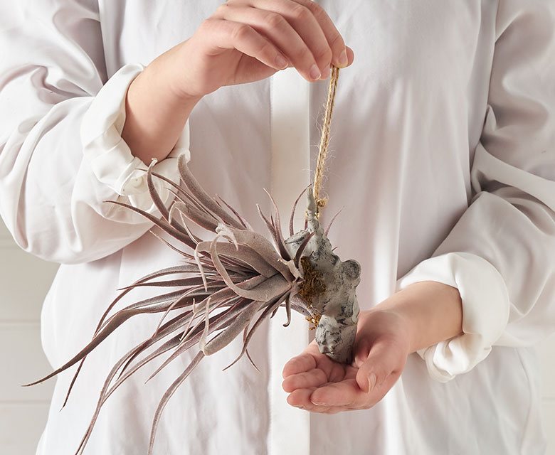 ティランジアのフェイク植物