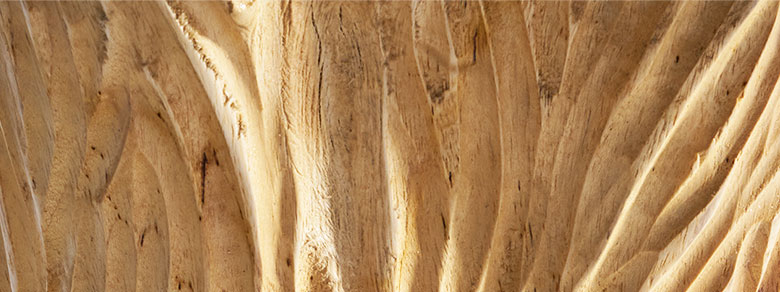 美しいチークウッド