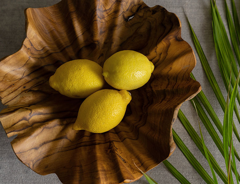 花びらのような柔らかく優雅なフォルム