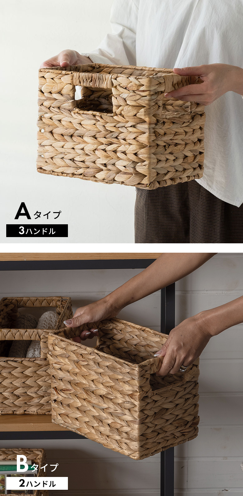 手に持つとこれくらいの大きさ