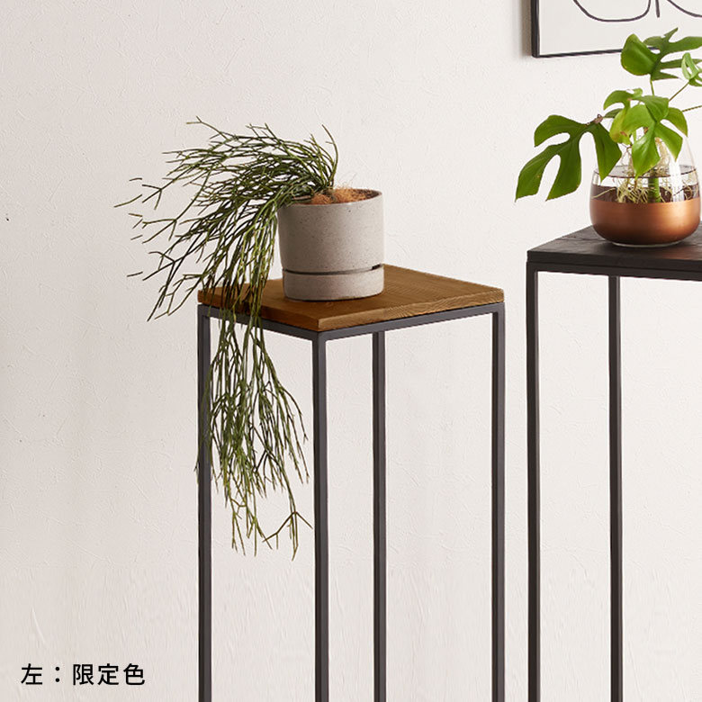 高さを作って植物をおしゃれに演出するプランタースタンド
