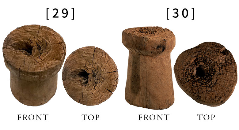 お好みの個体をお選びいただけます