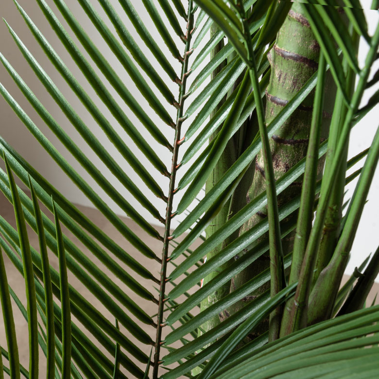 本物の観葉植物みたいなフェイクグリーン