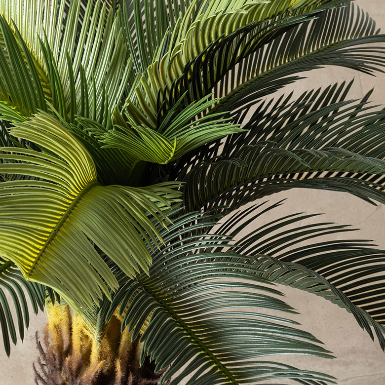 本物の観葉植物みたいなフェイクグリーン