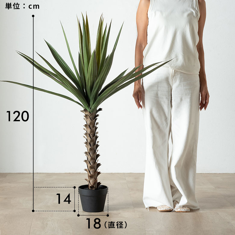 サイズ