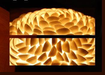 幾重にも重ねた貝殻が存在感溢れるアイテム。