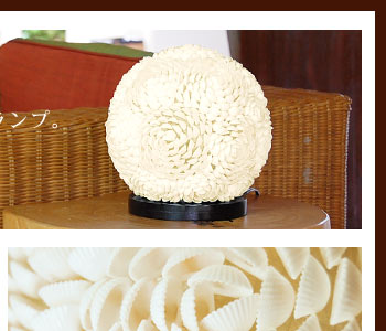 綺麗に並べられた貝殻はアーティスティックでなんだか可愛さを感じられるデザインです。