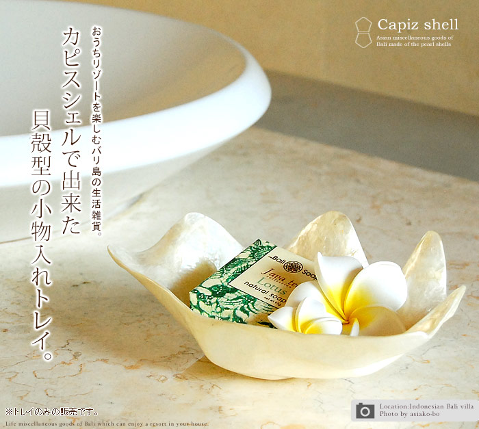 貝殻の形をしたカピスシェルの小物入れトレイ