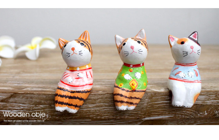 バリ島からやってきた可愛い洋服を着た三毛猫バリネコ。