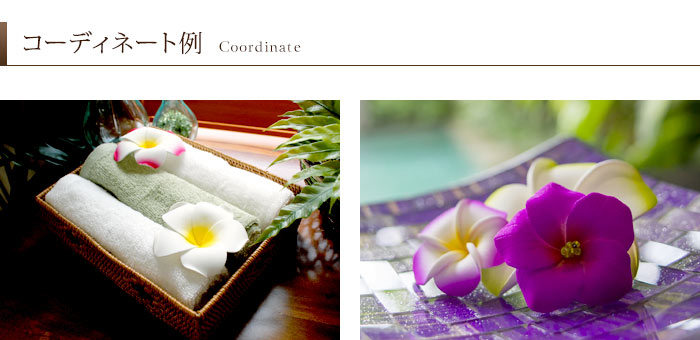 水に浮かべて本物そっくりプルメリア造花