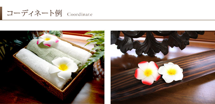 水に浮かべて本物そっくりプルメリア造花