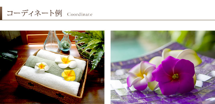 水に浮かべて本物そっくりプルメリア造花