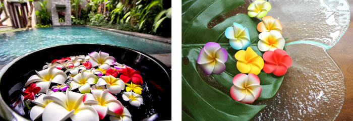 水に浮かべて本物そっくりプルメリア造花