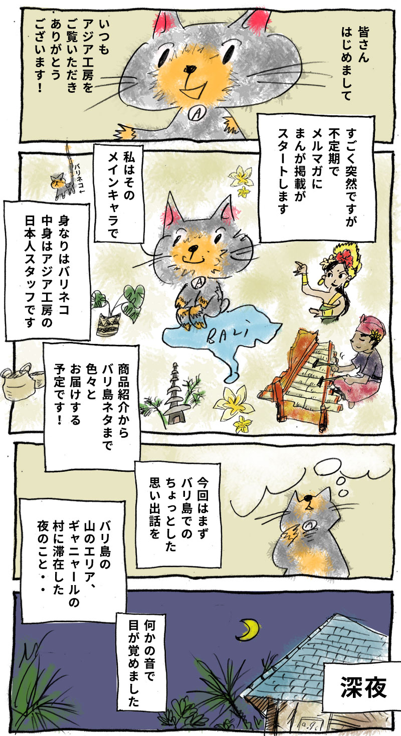 バリネコちゃん