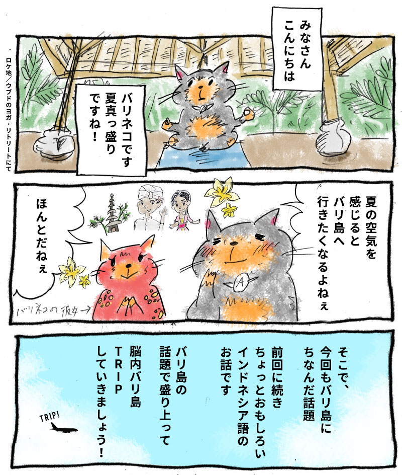 知れば知るほどおもしろい、インドネシア語